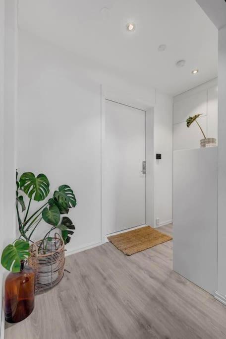 Newly Renovated - Oslo Downtown公寓 外观 照片