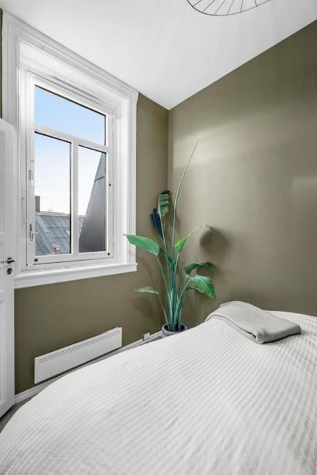 Newly Renovated - Oslo Downtown公寓 外观 照片